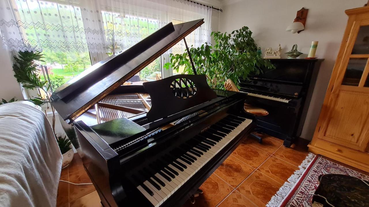 Апартаменти Penzion Piano Ліптовський Мікулаш Екстер'єр фото